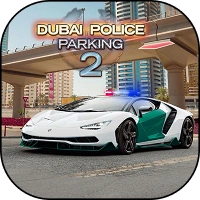 Dubai Police Parking 2